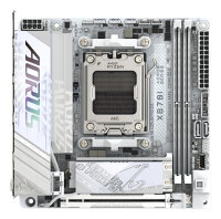 Gigabyte GA-X870I AORUS PRO ICE (AM5) (D)