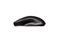 Mouse Cherry MW2310 2.0 wireless black (JW-T0320)