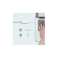 TP-Link Netzwerkadapter UE300C USB-C
