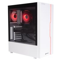 Captiva PC Advanced Gaming I93-340 (i5-14400F/RTX5060 8GB...