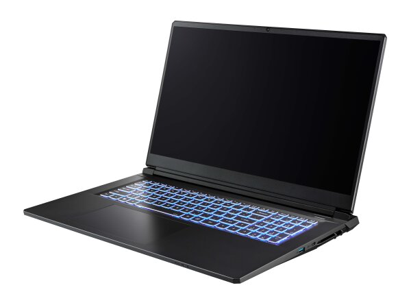 Captiva Notebook Highend Gaming I94-370GE i7-13620H (17.3, 32GB, 1TB SSD, GeForce RTX 5070 8GB, Win 11 Pro)